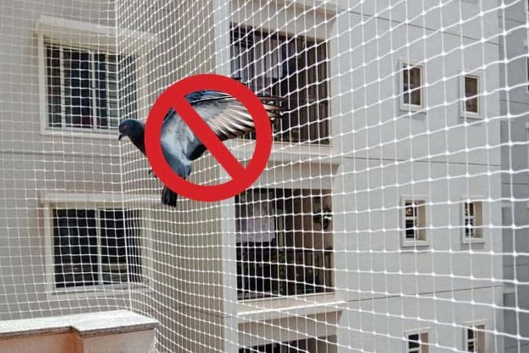 Pigeon safety net installed on building in Bangalore